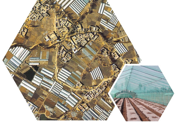 光稳定剂在汽车内饰中的应用:守护驾乘空间的美观与安全