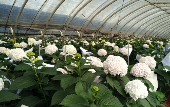 光稳定剂:塑料材料的守护神,北京天罡助剂有限公司的科技担当