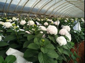 如何通过光稳定剂降低塑料制品生命周期成本